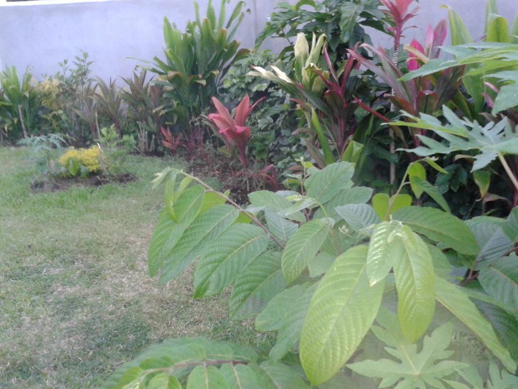 Dayspring Lodge Nuku'alofa Buitenkant foto