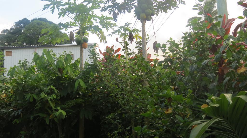 Dayspring Lodge Nuku'alofa Buitenkant foto