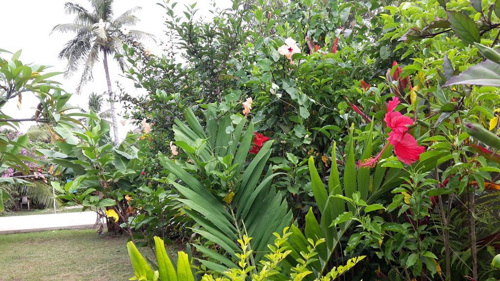 Dayspring Lodge Nuku'alofa Buitenkant foto